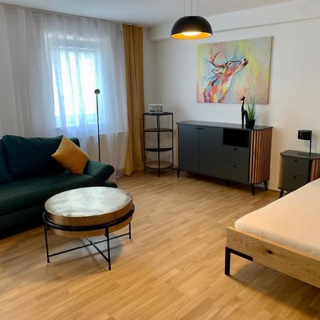 Air-Conditioned, Quiet Apartment With A Terrace In Center Of St Poelten - Smart Tv Sankt Poelten Exteriör bild